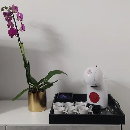 아파트 La Perla Del Mare - 9 Minutes From Fco Airport - Free Wifi E Netflix 피우미치노